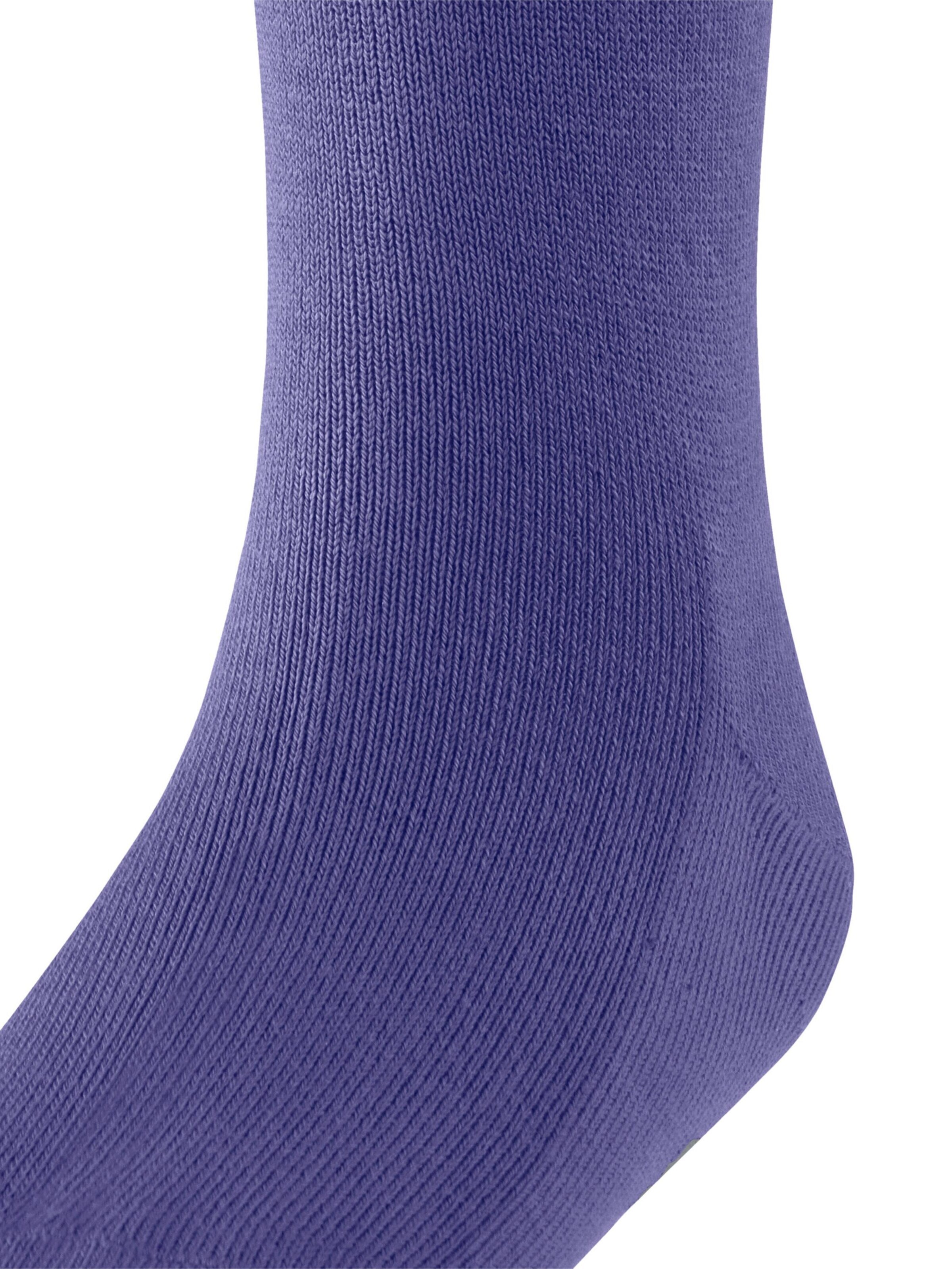 FALKE Socks 'Family' in Purple: front