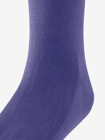 FALKE Socks 'Family' in Purple: front