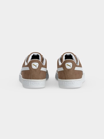 PUMA Sneaker in Braun