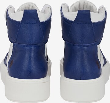 Apple of Eden Sneakers hoog 'SOFIA' in Blauw