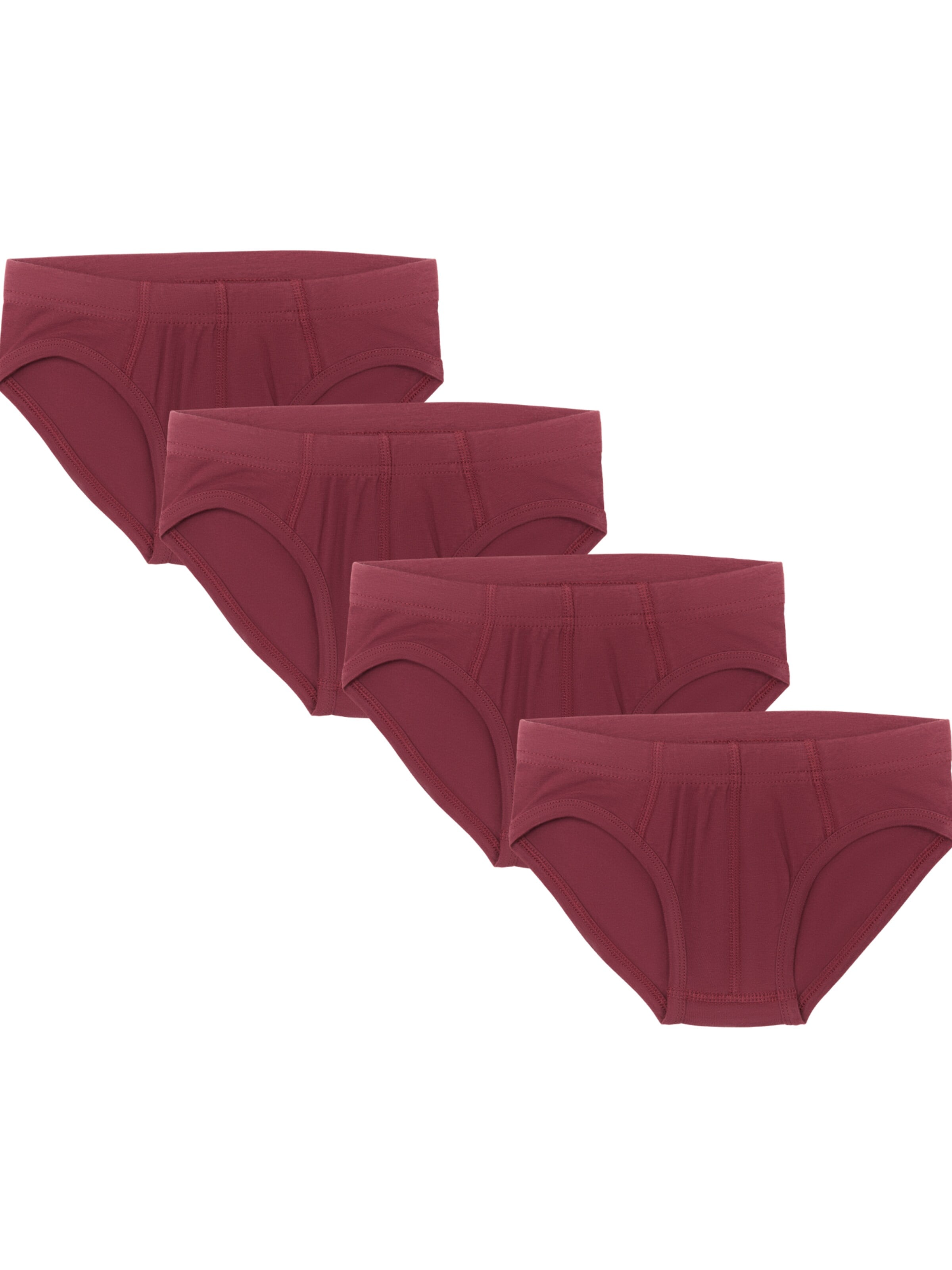 Albero Natur Underpants 'Bio-Baumwoll-Jungenslip-4er Pack' in Red: front