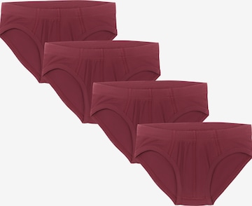 Albero Natur Underpants 'Bio-Baumwoll-Jungenslip-4er Pack' in Red: front