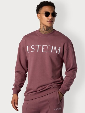 ESTEEM Collegepaita värissä punainen: etupuoli
