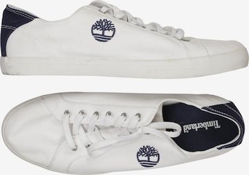 TIMBERLAND Sneaker 45,5 in Mischfarben: Vorderseite