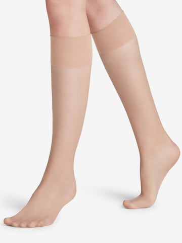 FALKE Knee High Socks 'Pure Matt' in Beige: front
