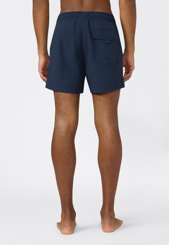 Champion Board Shorts in Blue