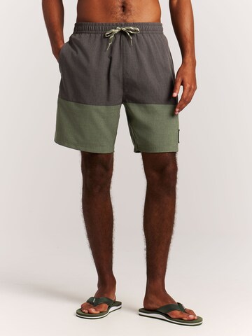 PROTEST Board Shorts 'PRTCabus' in Green