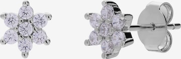 Lucardi Earrings in Silver: front