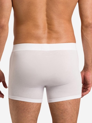 Hanro Lange Unterhose 'Natural Function' in Weiß