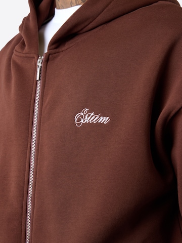 Veste de survêtement ESTEEM en marron