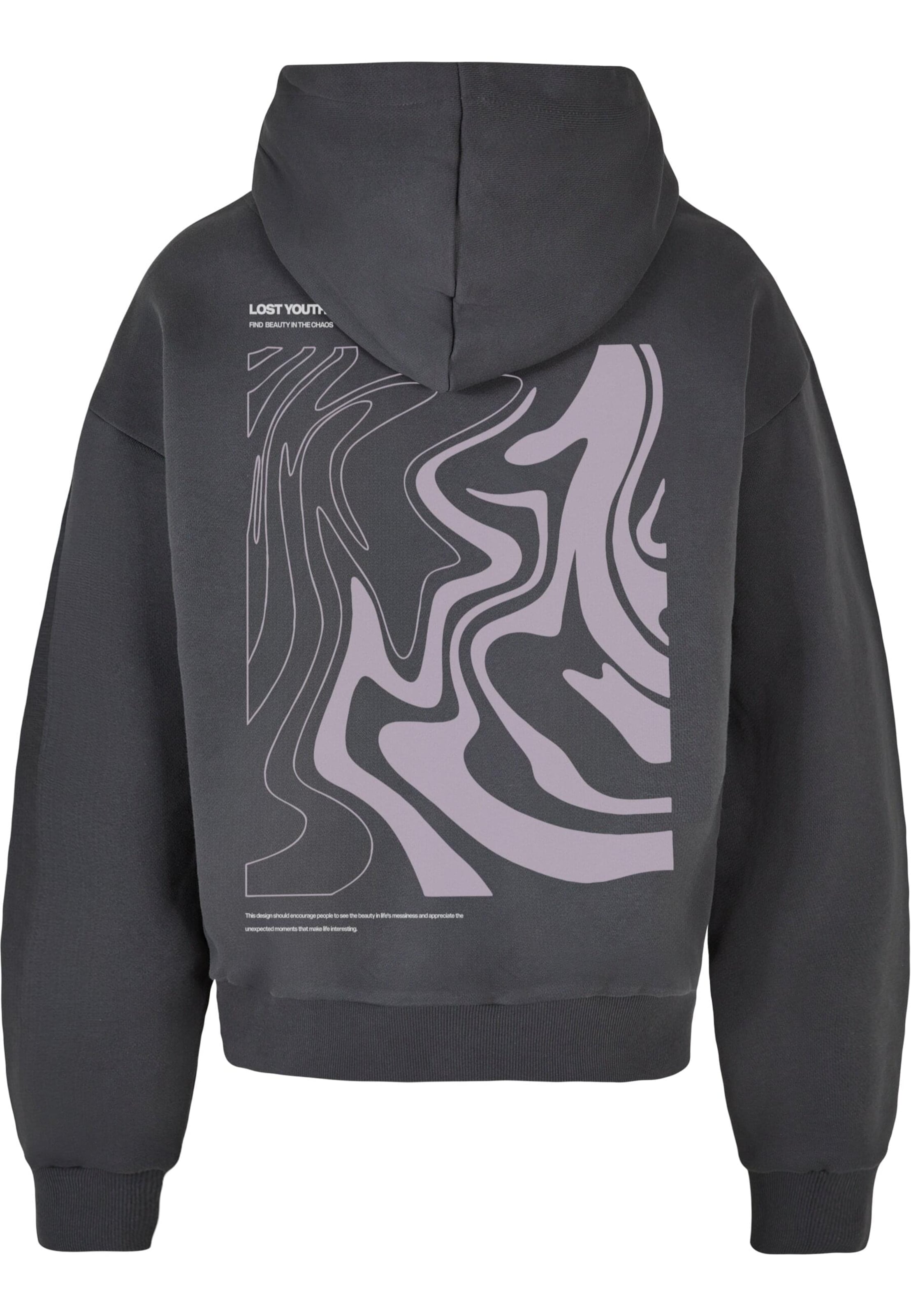 Lost Youth Свитшот 'Chaos' в Серый