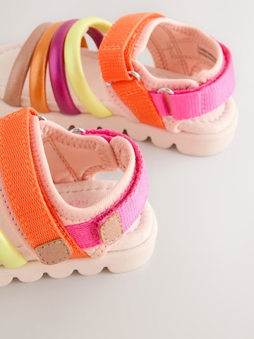Next Sandale in Mischfarben