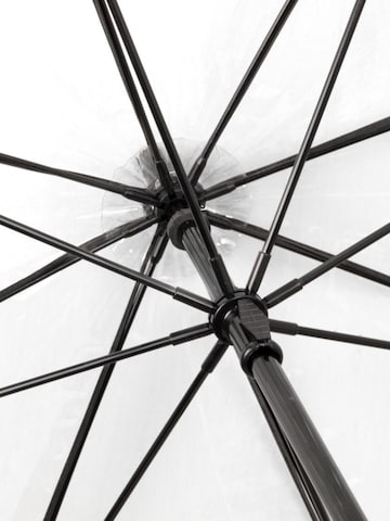 Maxte Umbrella in Transparent