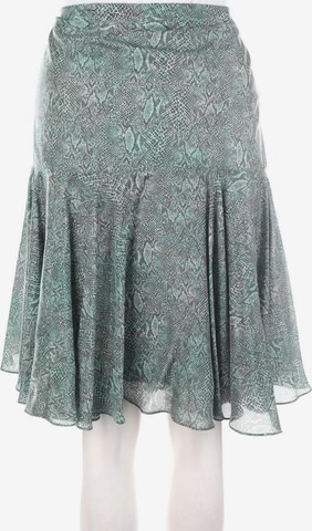 Caroll Skirt in XL in Green