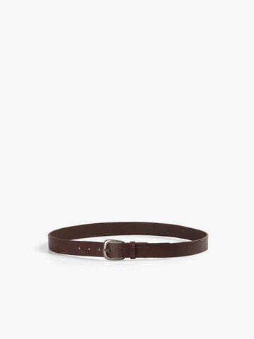 Scalpers Belt in Brown