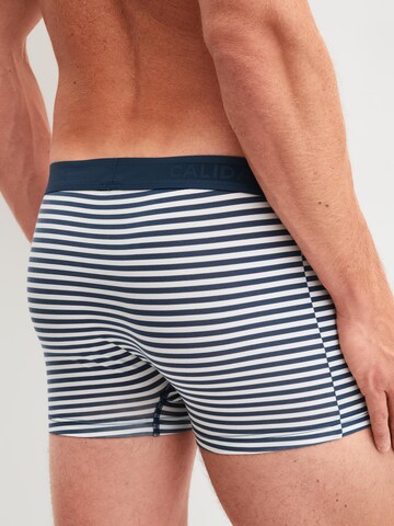 Boxer 'Grafic Cotton' di CALIDA in bianco