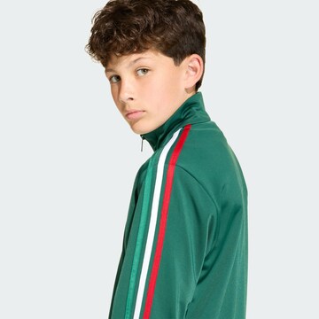 ADIDAS ORIGINALS Sweatvest 'Firebird' in Groen