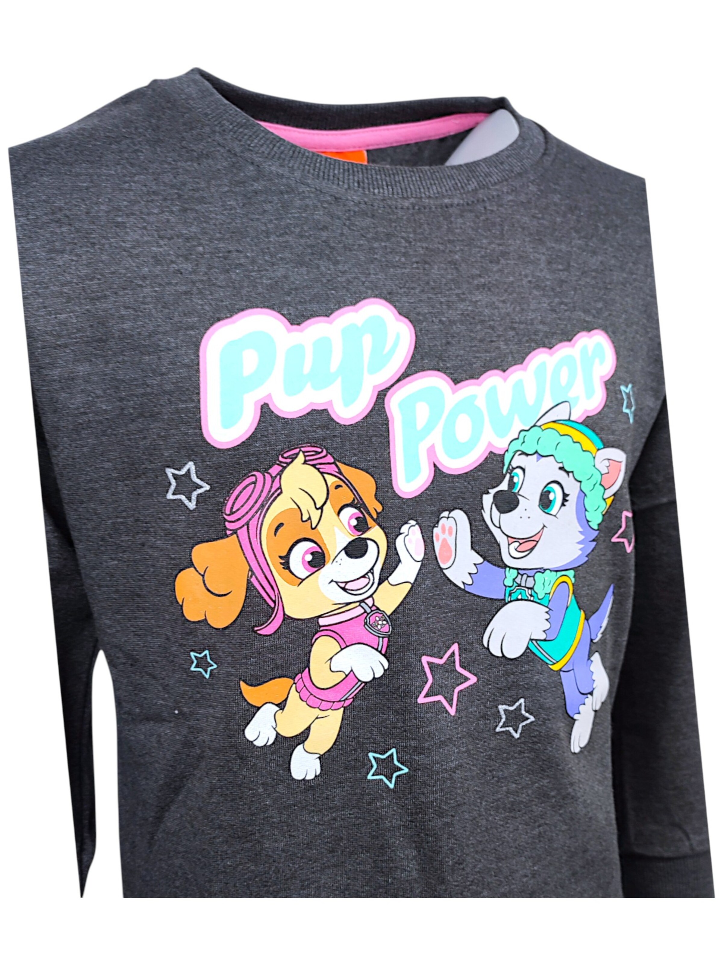 Paw Patrol Sweatshirt 'Skye'‌‌‌‌ in Grau
