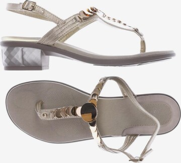 SCHOLL Sandals & High-Heeled Sandals in 37 in Gold: front