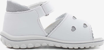 PRIMIGI Sandals & Slippers in White