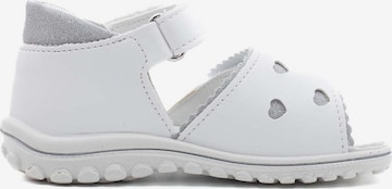 Chaussures ouvertes PRIMIGI en blanc