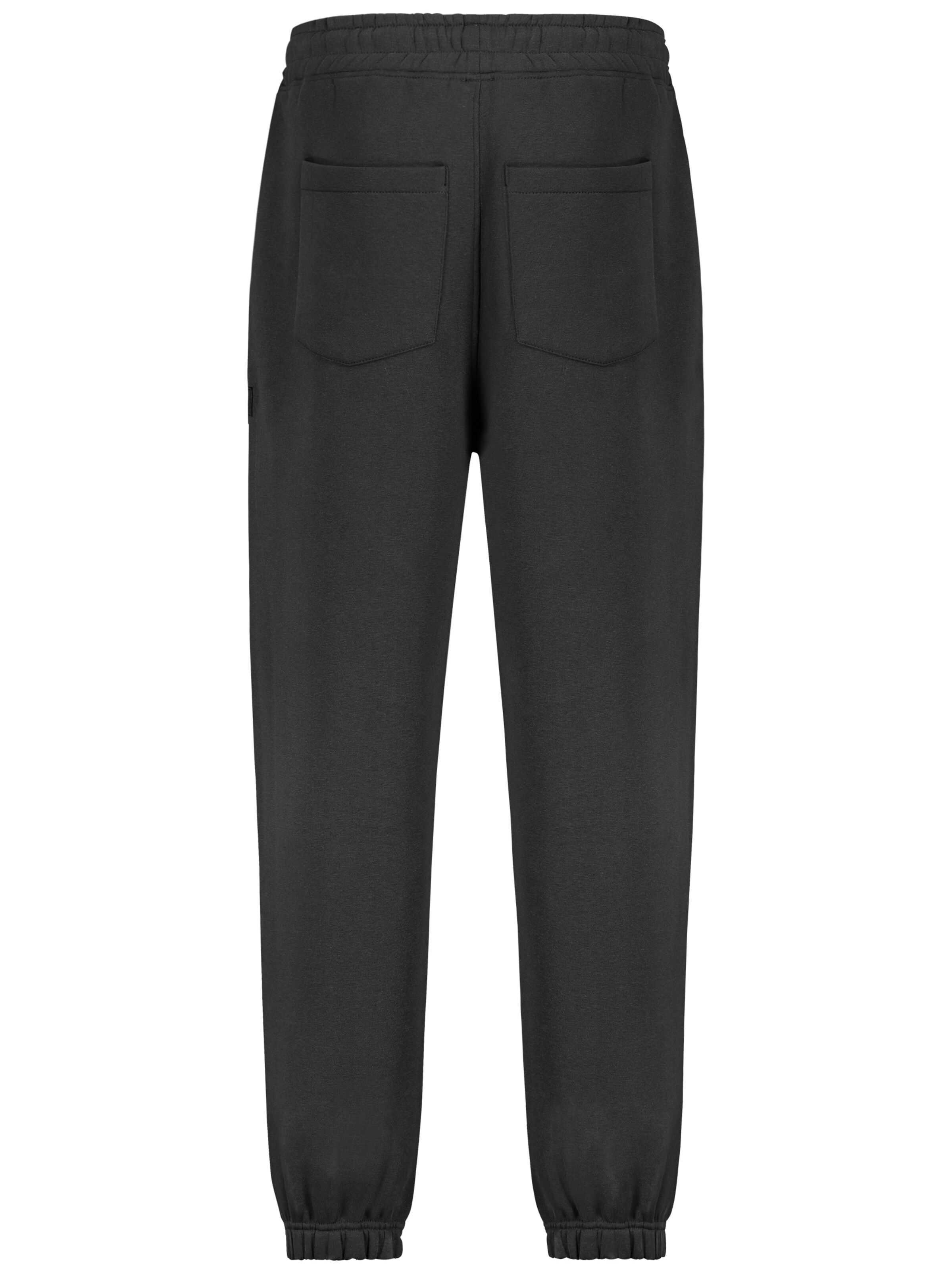 Sublevel Tapered Pants in Grey