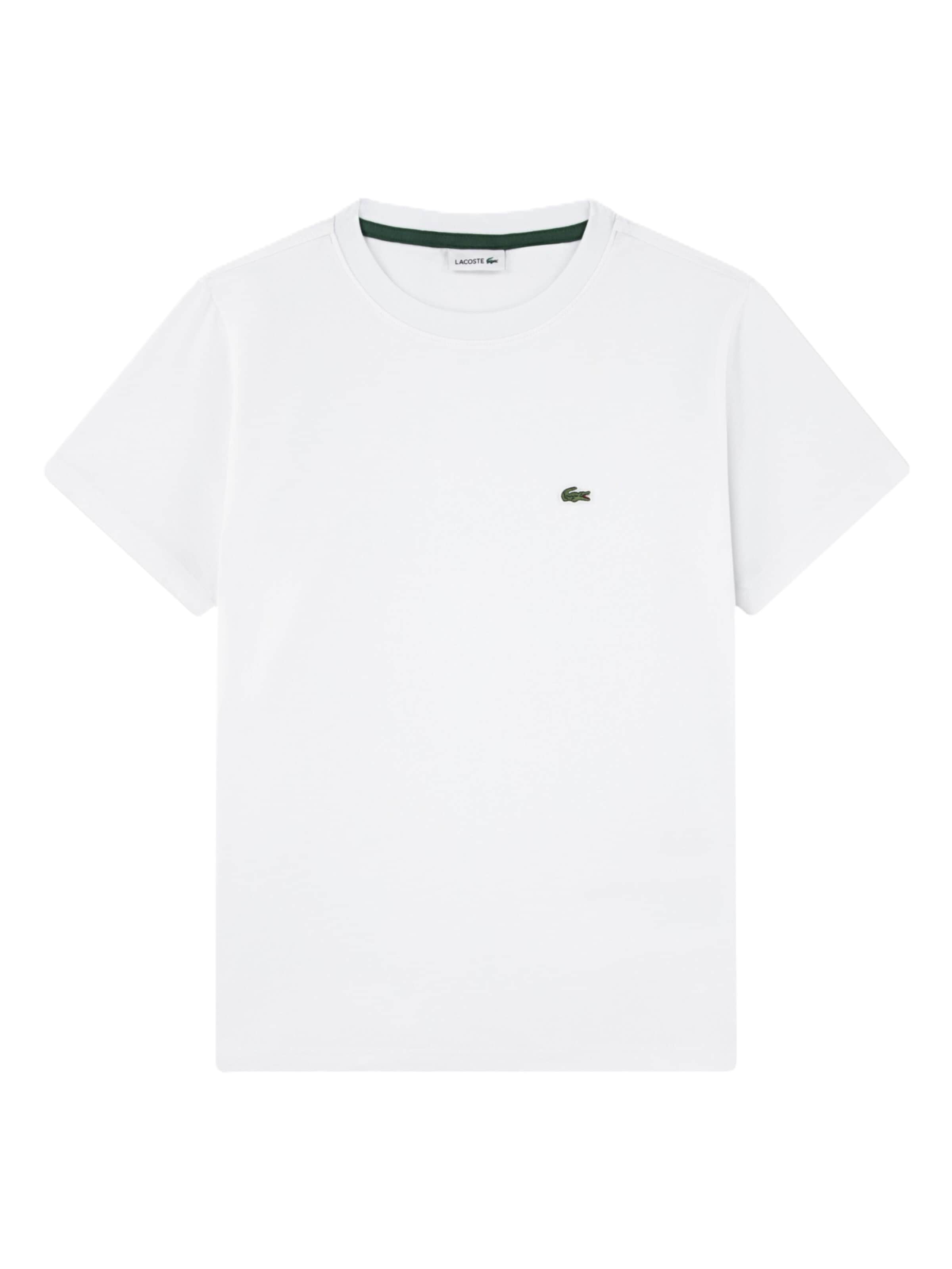 T-Shirt LACOSTE en blanc : devant