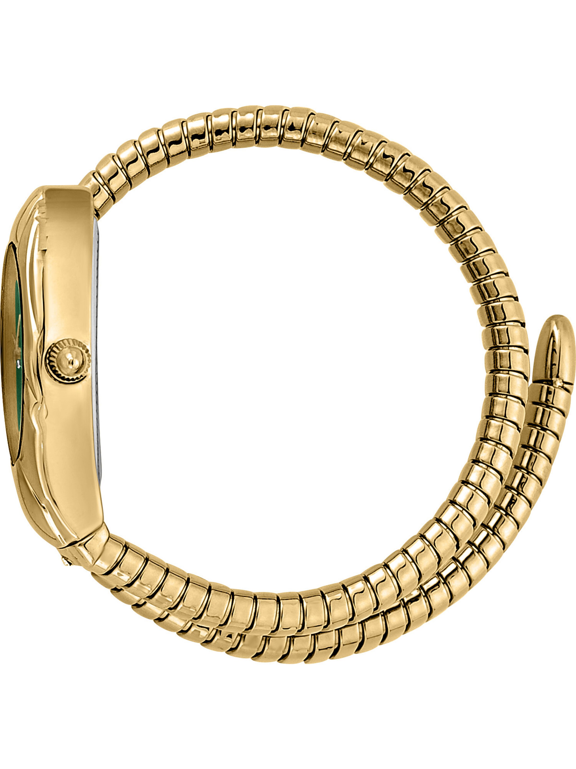 Frauen Uhren Just Cavalli Analoguhr in Gold - OJ82789