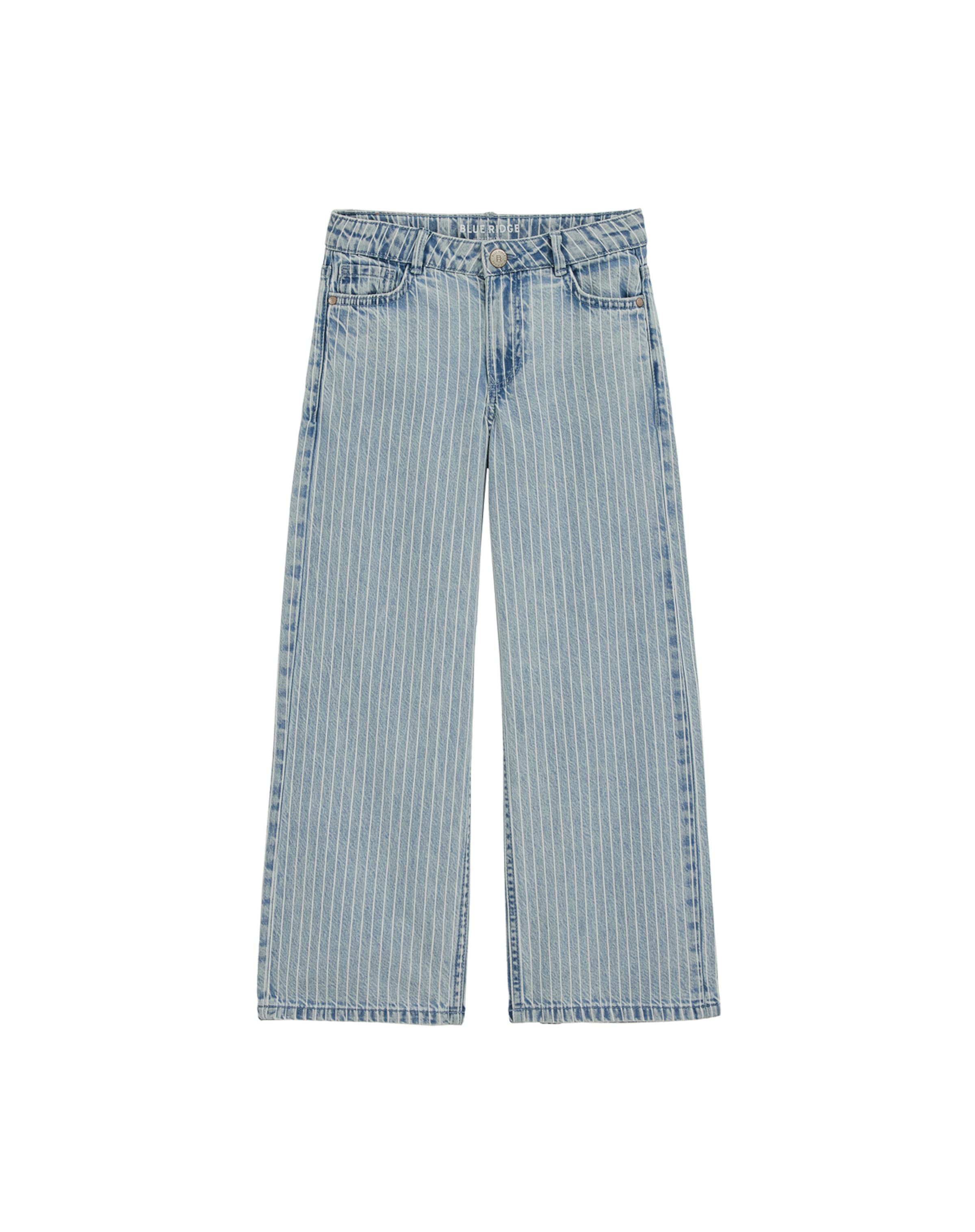Wide Leg Jean WE Fashion en bleu : devant