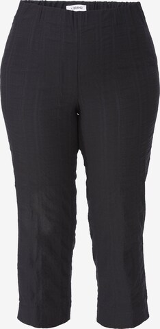 KjBRAND Regular Pants in Black: front