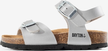 Bayton Slipper 'Pegase' in Silver: front