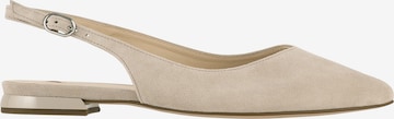 Högl Ballet Flats 'MONA' in Grey: front