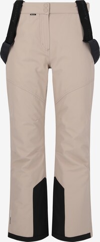 Whistler Regular Workout Pants 'Drizzle' in Brown: front