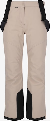 Whistler Regular Workout Pants 'Drizzle' in Brown: front