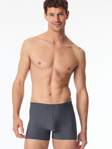 SCHIESSER Boxer shorts 'Pure Micro' in Blue: front