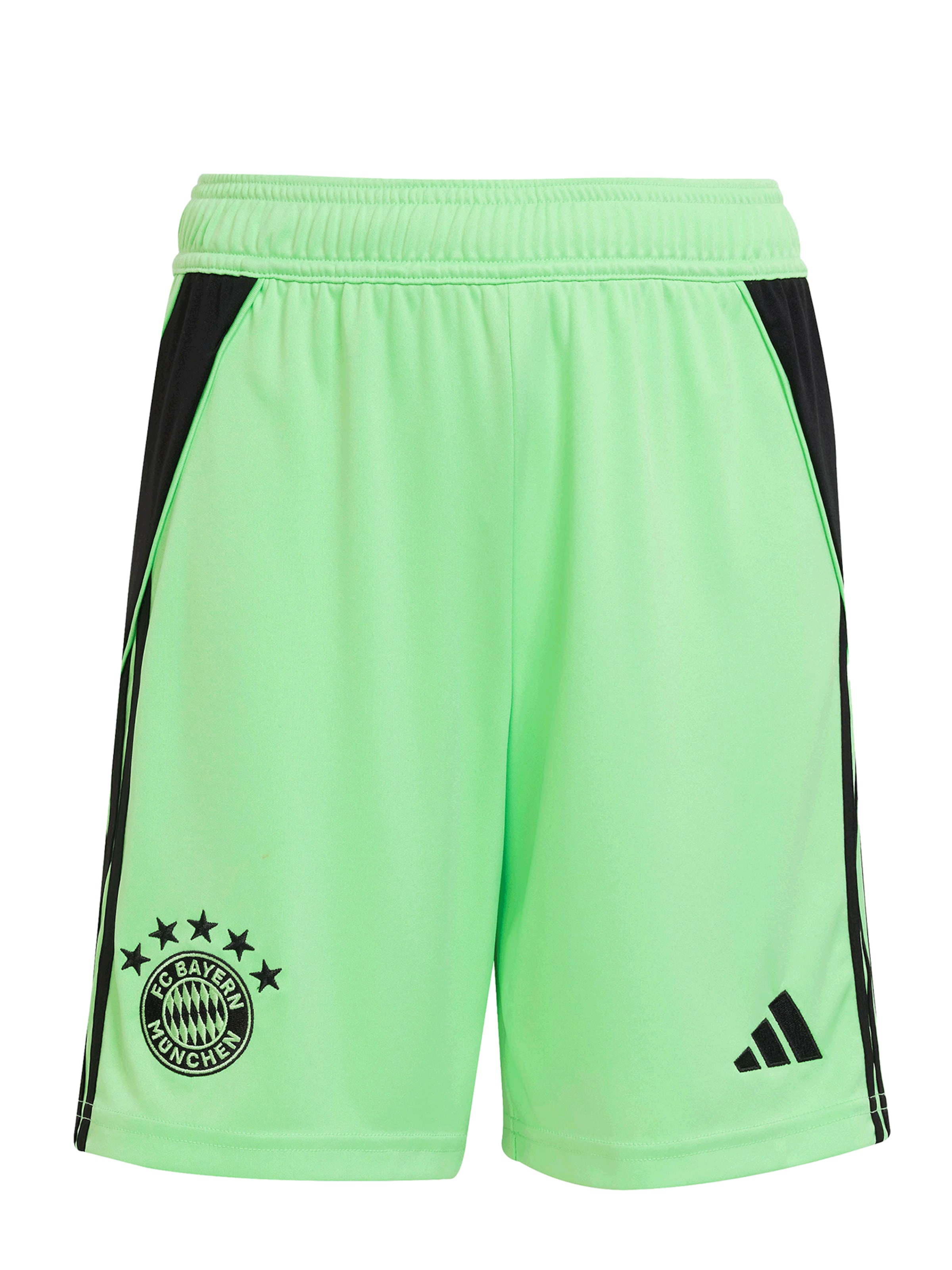 FC BAYERN MÜNCHEN Regular Workout Pants in Green: front