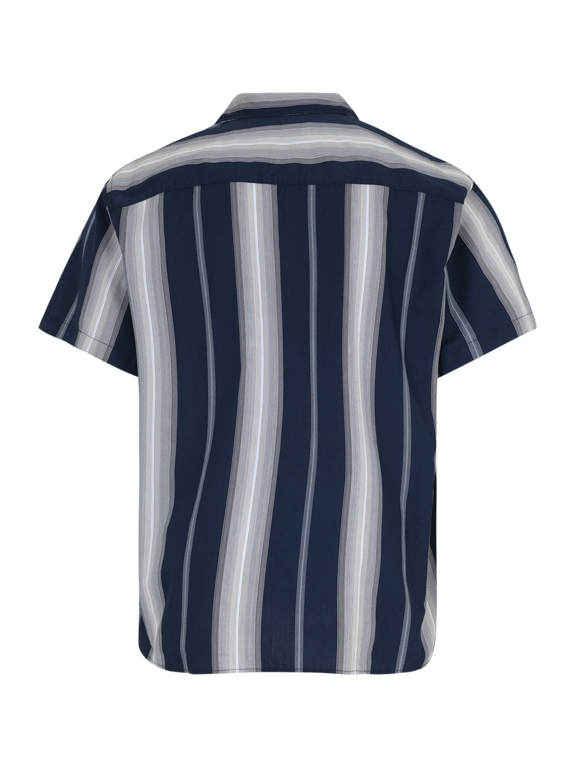 Jack & Jones Plus Классический крой Рубашка 'JPRBLAPALERMO' в Синий