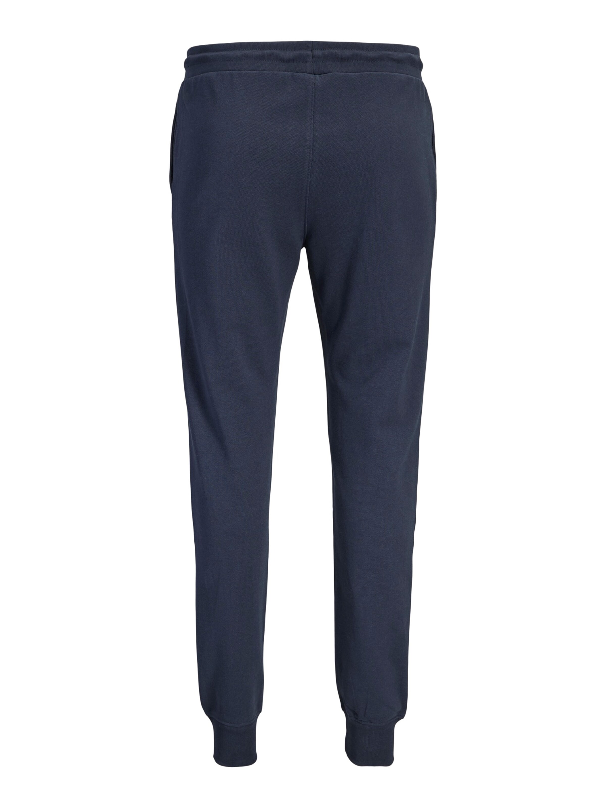 Tapered Pantaloni 'JPSTGORDON' de la Jack & Jones Plus pe albastru