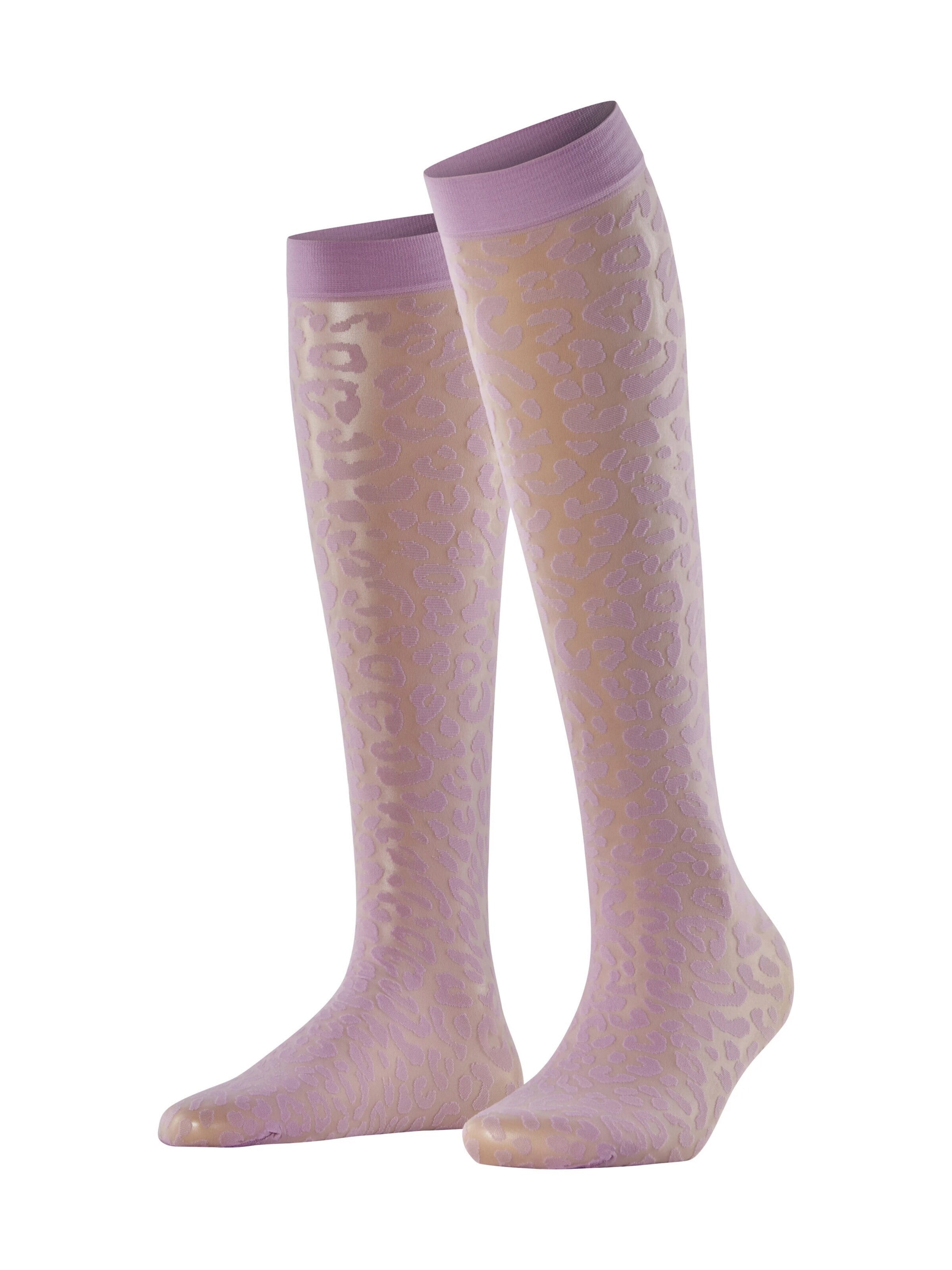 FALKE Overknee Strümpfe 'Wild Breed' in Lila: Vorderseite