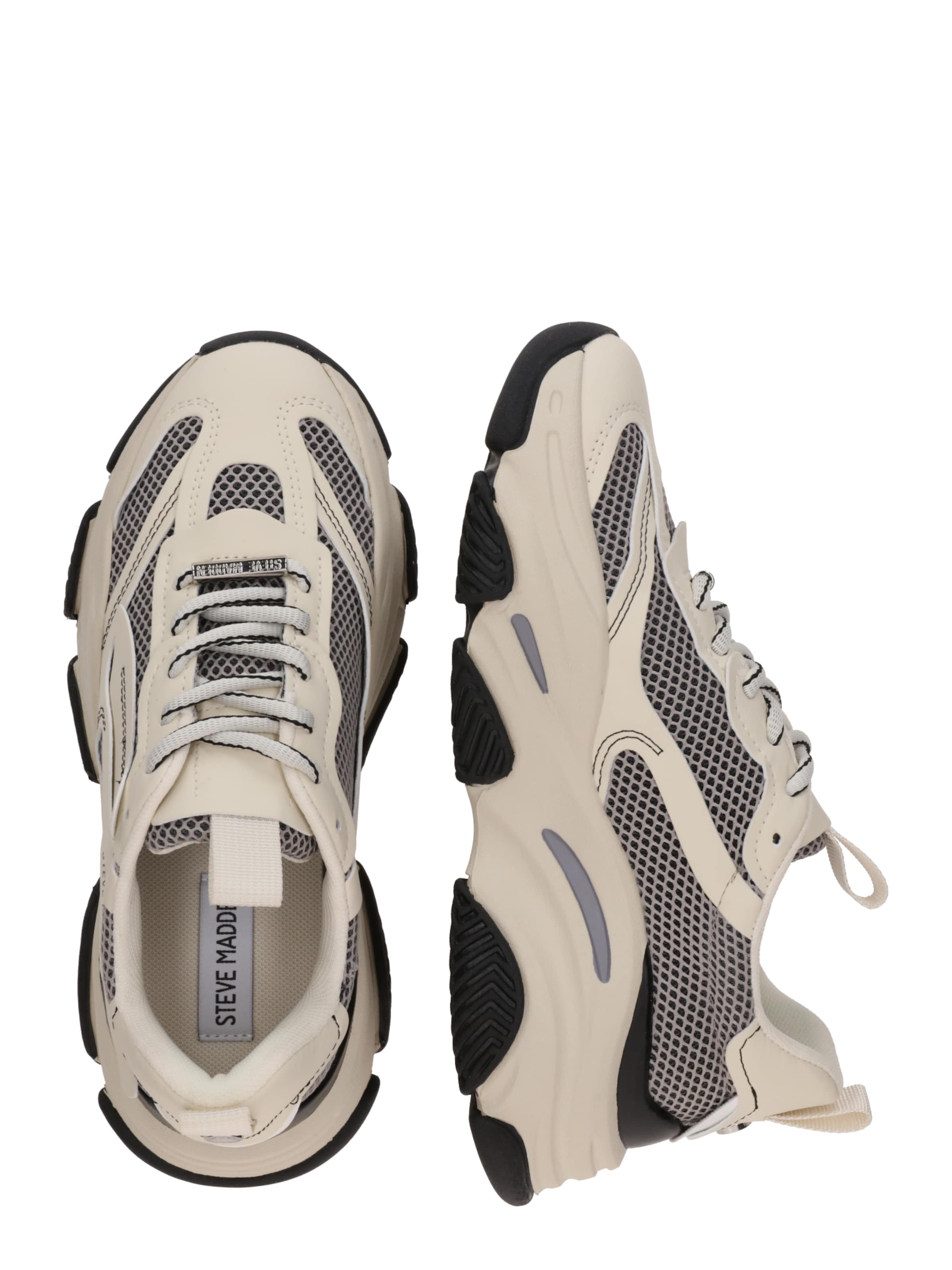 Baskets basses 'POSSESSION' STEVE MADDEN en beige