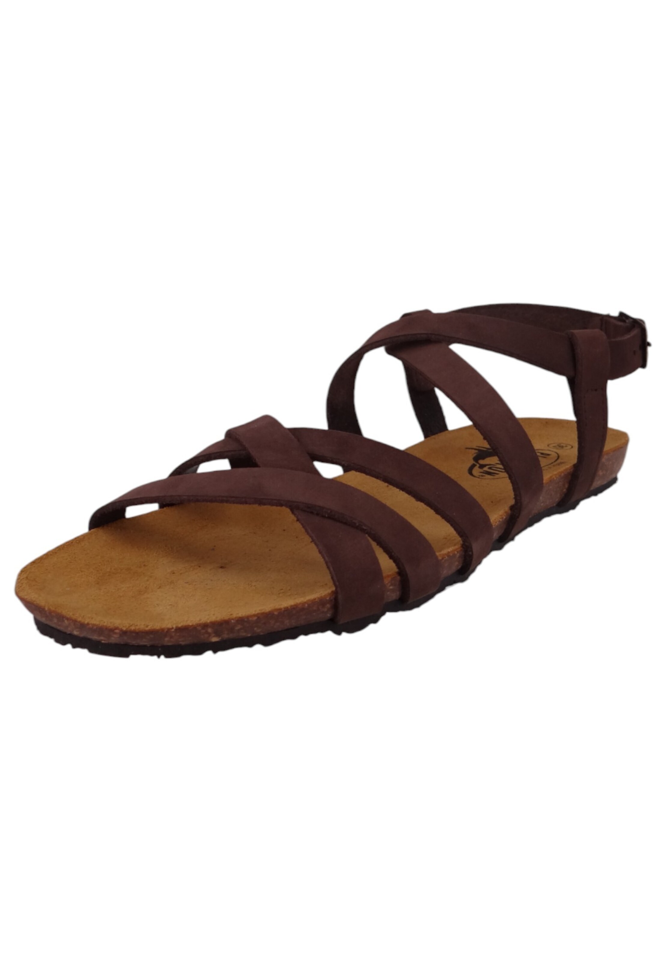 Plakton - Sandália em castanho: frente