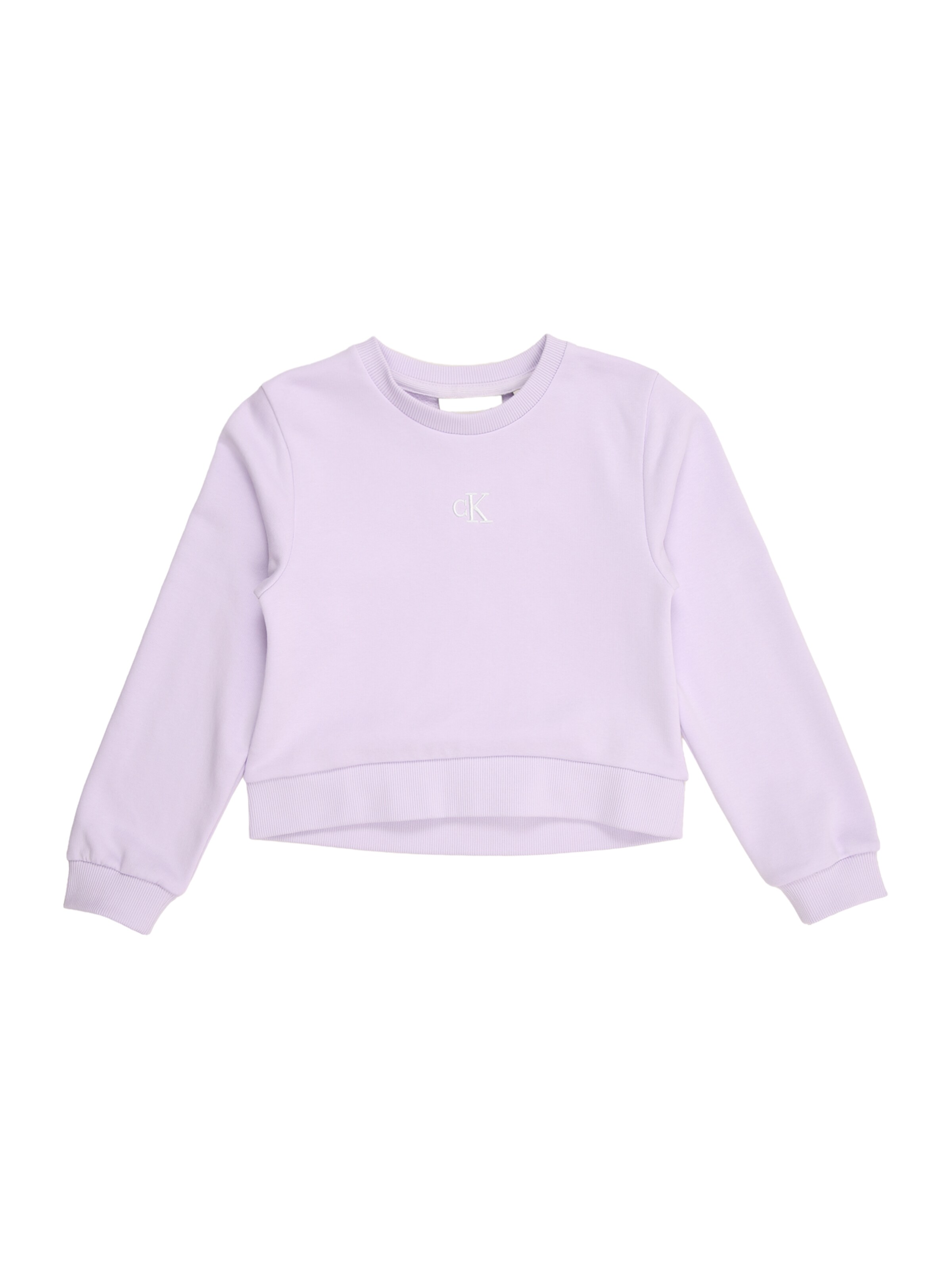 Calvin Klein Jeans Sweatshirt i lila: framsida