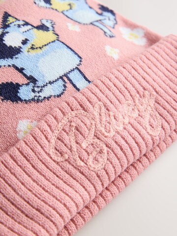 Bonnet 'Bluey' Next en rose