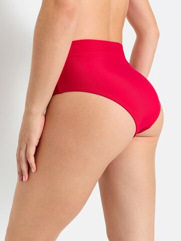 LSCN by LASCANA Bikini hlačke 'Gina' | roza barva: zadnja stran
