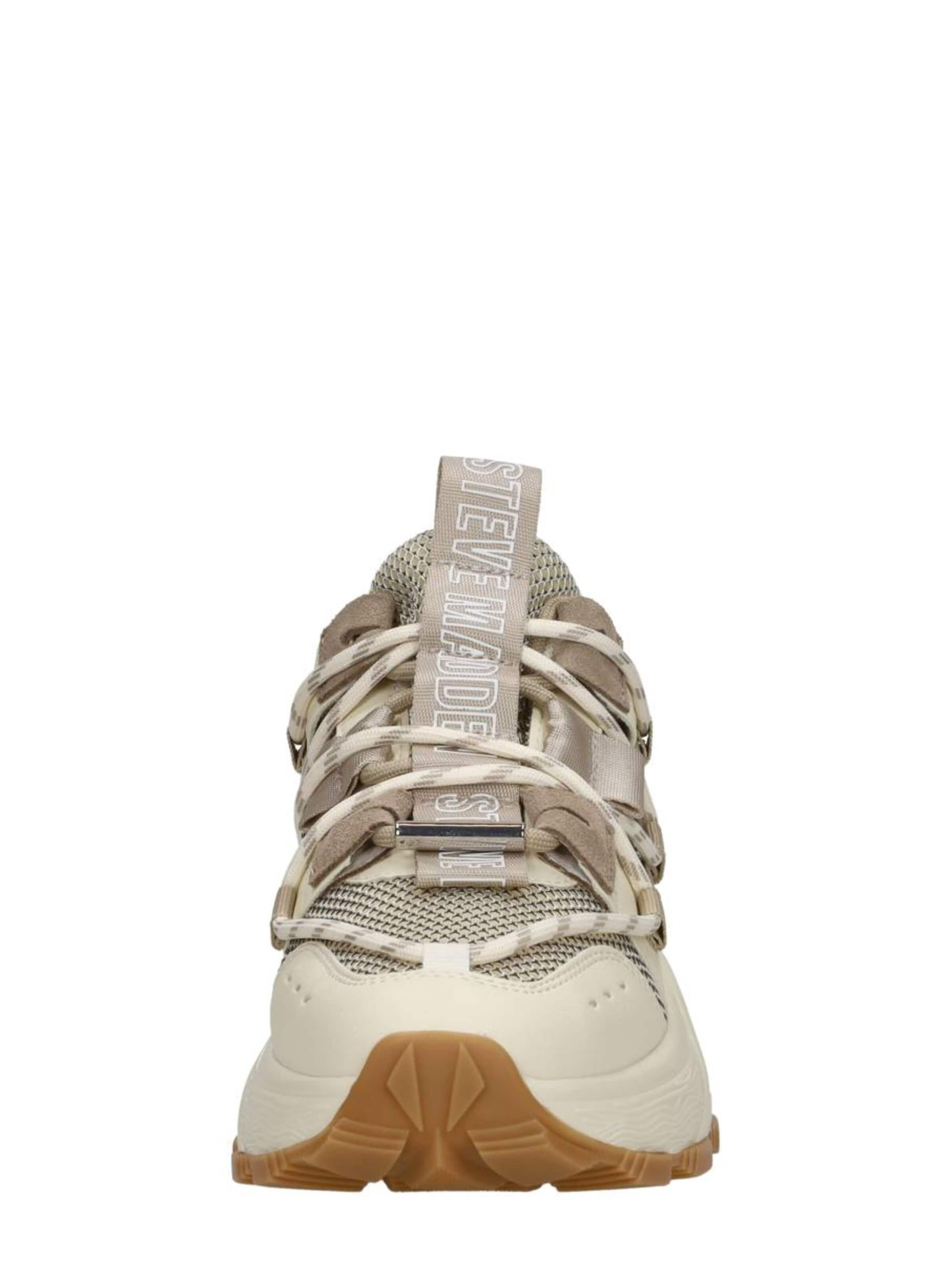 STEVE MADDEN Sneakers 'Tazmania' in Beige