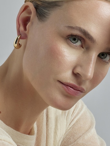 Luxenter Earrings 'Sanky' in Gold