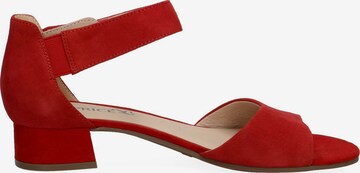 CAPRICE Sandals in Red