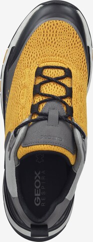 GEOX Sneakers 'Sterrata' in Yellow