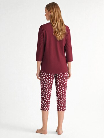 CALIDA Pyjama 'Cotton Special' in Rood