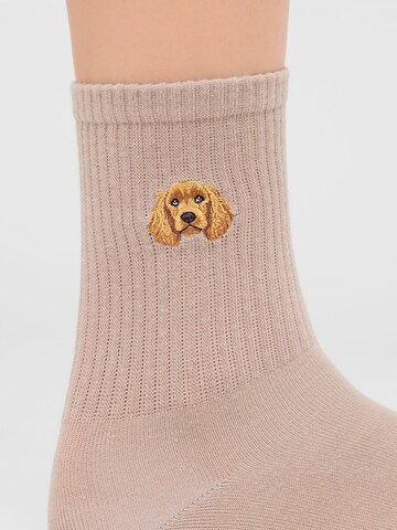 CALZEDONIA Socks in Beige